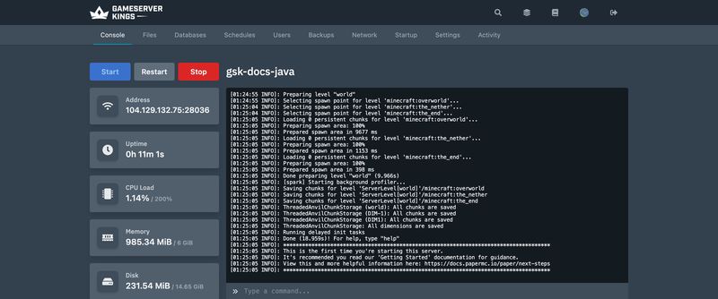 The Console tab showing live output from a server start